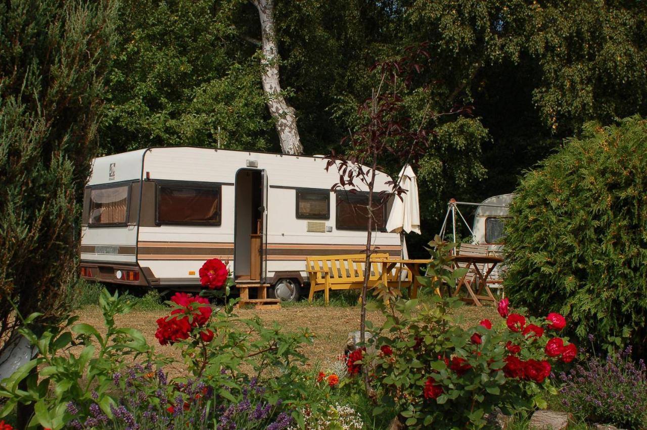 Camping Rogowo Mrzezyno Luaran gambar