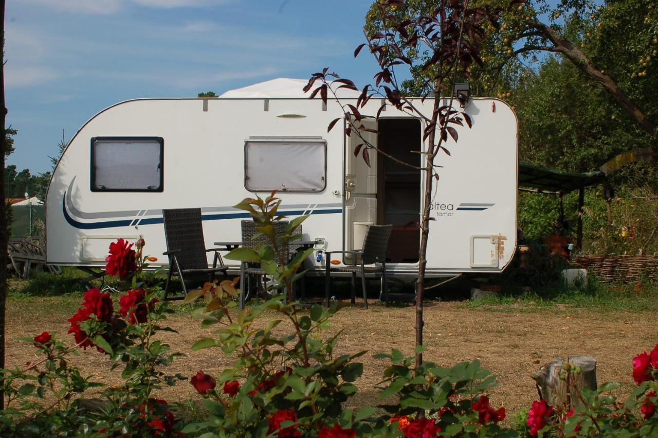 Camping Rogowo Mrzezyno Luaran gambar