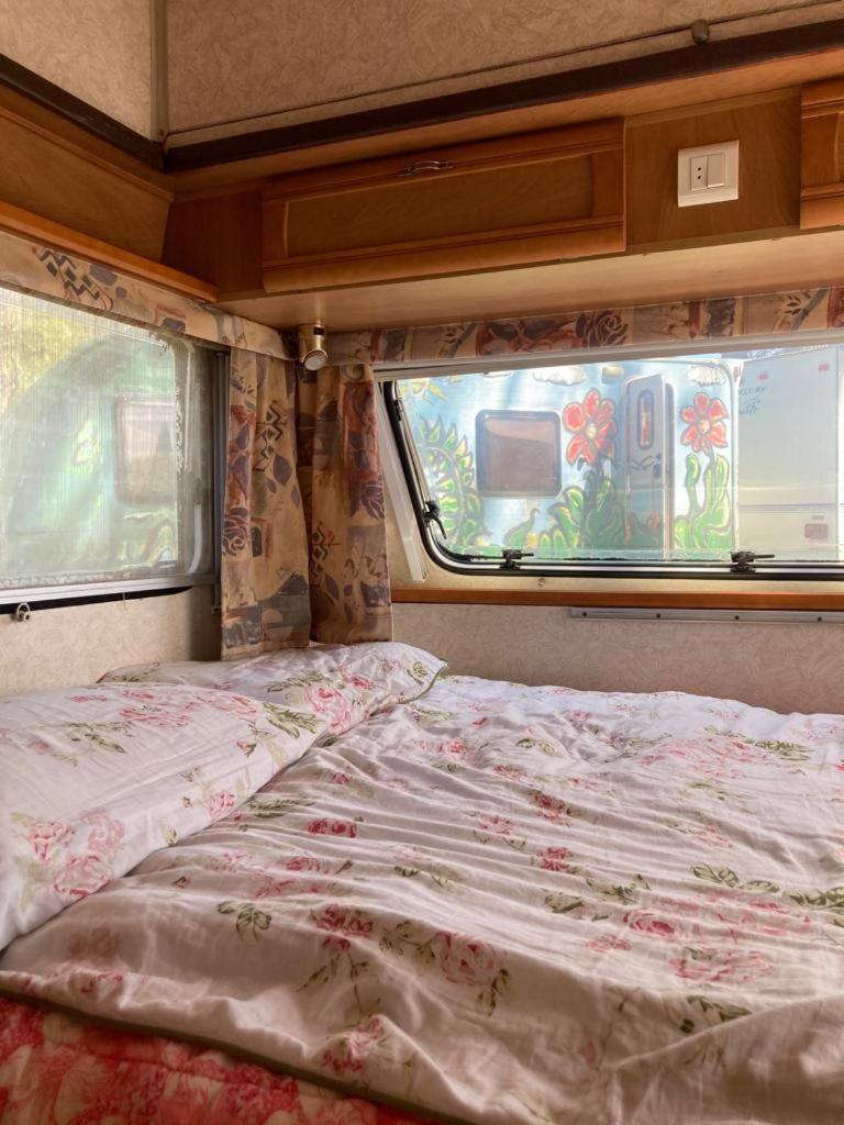 Camping Rogowo Mrzezyno Bilik gambar